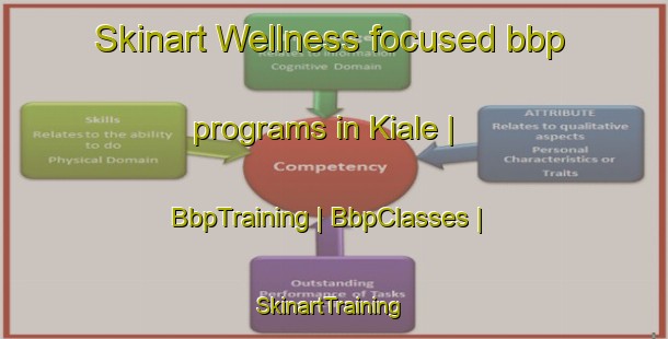 Skinart Wellness-focused bbp programs in Kiale | BbpTraining | BbpClasses | SkinartTraining-Congo